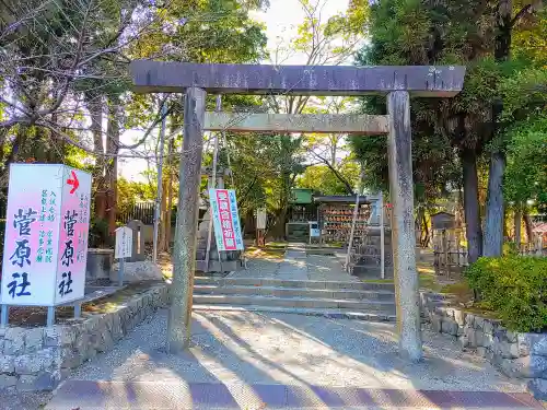 津島神社の鳥居