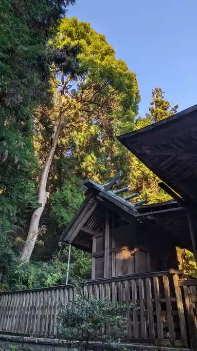 與瀬神社(与瀬神社)(神奈川県)