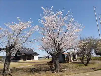 天神社の自然