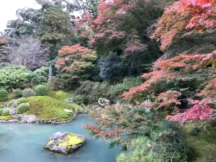 青蓮院門跡の庭園