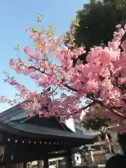 櫛田神社の自然