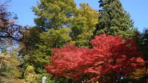 珍蔵寺　(山形県)