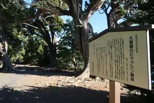 大瀬神社の歴史