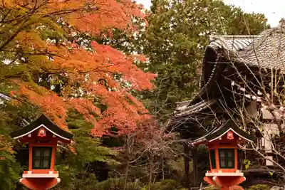 十輪寺(京都府)