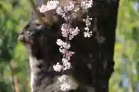 愛宕神社(福島県)