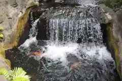 浅草寺(東京都)