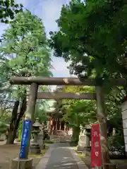 青山熊野神社の鳥居