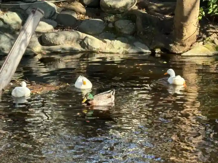 鶴峯山稲荷社(平塚八幡宮境内社)の{uncategorized: "未分類", other: "その他", undefined: "問題あり", building: "その他建物", grave: "お墓", sacred_gate: "鳥居", guardian: "狛犬", statue: "像", buddha: "仏像", history: "歴史", nature: "自然", garden: "庭園", animal: "動物", pagoda: "塔", temizu: "手水舎", mountain_gate: "山門・神門", sanctuary: "本殿・本堂", subordinate: "末社・摂社", art: "芸術", scenery: "景色", jizo: "地蔵", ema: "絵馬", goshuin: "御朱印", omikuji: "おみくじ", items: "授与品その他", amulet: "お守り", goshuincho: "御朱印帳", eats: "食事", festival: "お祭り", votive_dance: "神楽", shichigosan: "七五三参", wedding: "結婚式", experience: "体験その他", initially: "初詣", around: "周辺", anti_infection: "感染症対策"}