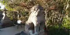 晴明神社の狛犬