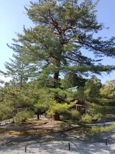 橿原神宮(奈良県)