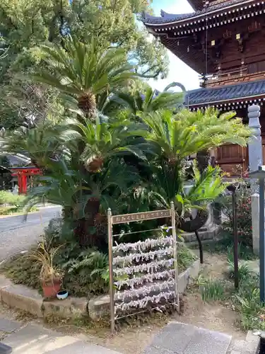法楽寺(大阪府)