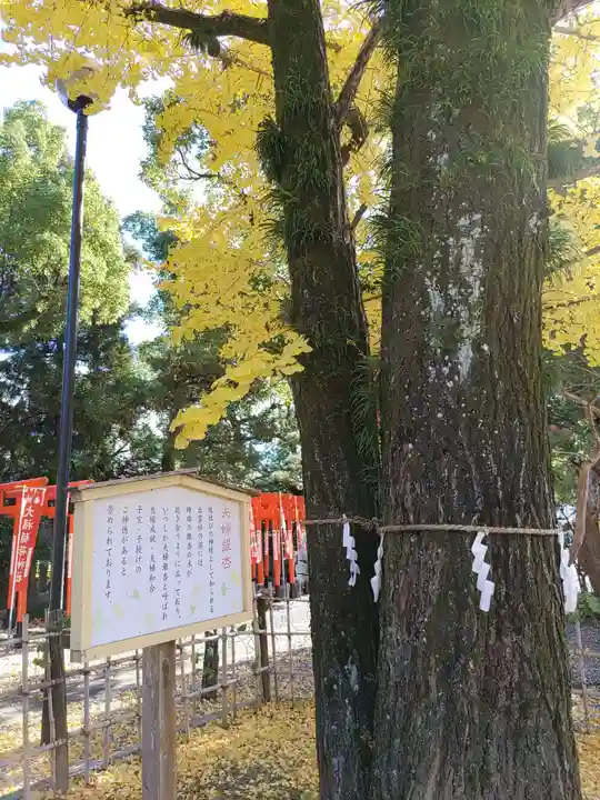 大垣八幡神社(岐阜県)