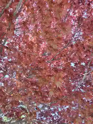 厚別神社(北海道)