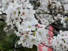 本法寺(京都府)