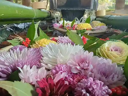 滋賀県護国神社(滋賀県)