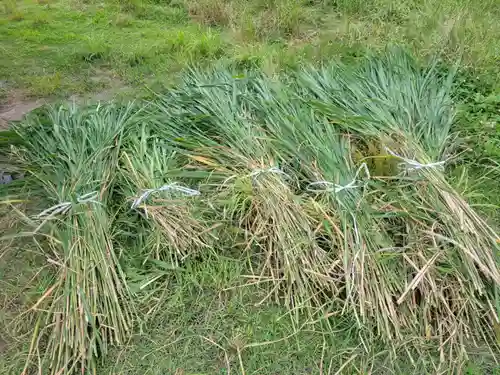 伏木香取神社(茨城県)
