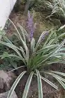 西方山極楽寺(岐阜県)