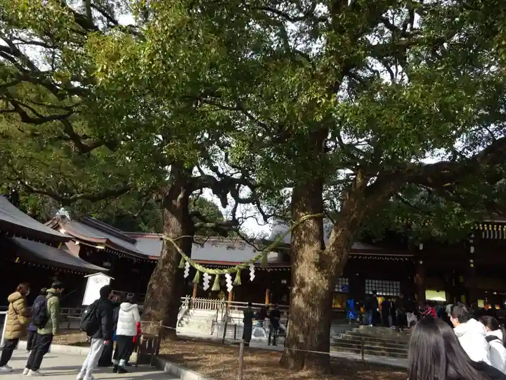 明治神宮の自然