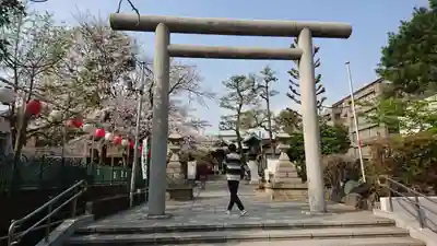 桜神宮の鳥居