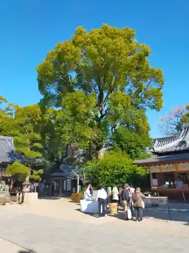 杭全神社(大阪府)
