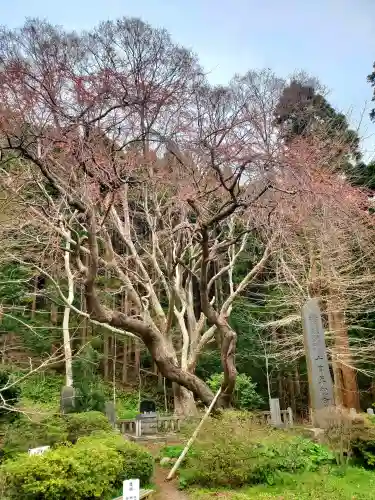 函館八幡宮の{uncategorized: "未分類", other: "その他", undefined: "問題あり", building: "その他建物", grave: "お墓", sacred_gate: "鳥居", guardian: "狛犬", statue: "像", buddha: "仏像", history: "歴史", nature: "自然", garden: "庭園", animal: "動物", pagoda: "塔", temizu: "手水舎", mountain_gate: "山門・神門", sanctuary: "本殿・本堂", subordinate: "末社・摂社", art: "芸術", scenery: "景色", jizo: "地蔵", ema: "絵馬", goshuin: "御朱印", omikuji: "おみくじ", items: "授与品その他", amulet: "お守り", goshuincho: "御朱印帳", eats: "食事", festival: "お祭り", votive_dance: "神楽", shichigosan: "七五三参", wedding: "結婚式", experience: "体験その他", initially: "初詣", around: "周辺", anti_infection: "感染症対策"}
