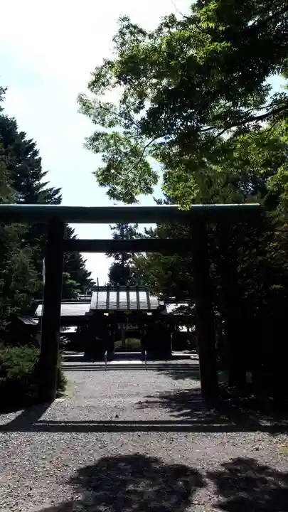 琴似神社(北海道)
