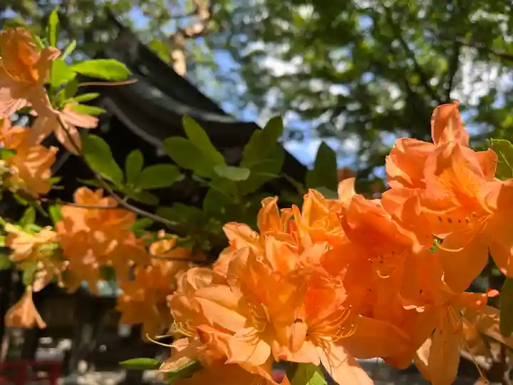 琴似神社(北海道)