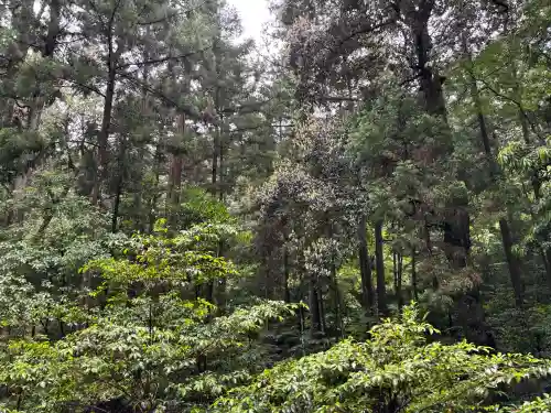 伊勢神宮内宮（皇大神宮）(三重県)