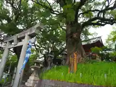 北岡神社(熊本県)