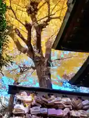 小野照崎神社(東京都)