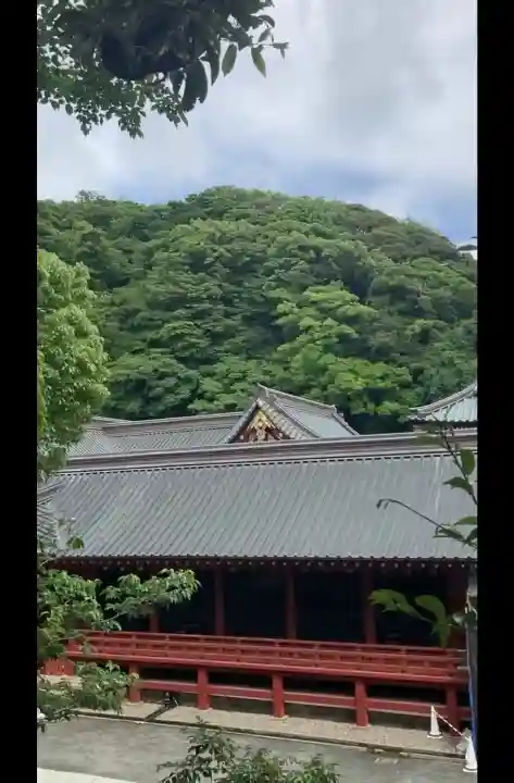 鶴岡八幡宮(神奈川県)