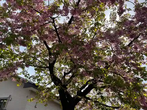 日々神社(神奈川県)