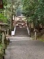 狭井坐大神荒魂神社(狭井神社)(奈良県)