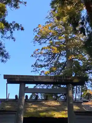 伊勢神宮内宮（皇大神宮）(三重県)