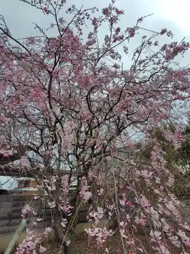 八幡神社(埼玉県)