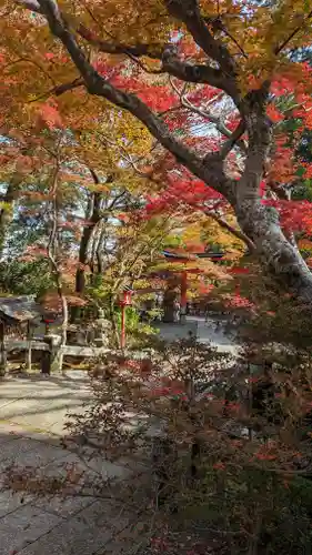鍬山神社(京都府)