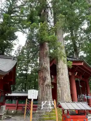 日光二荒山神社(栃木県)