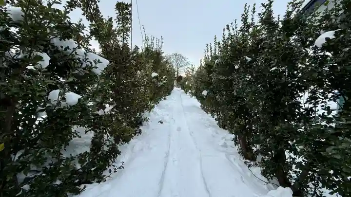 一本栗地主神社の{uncategorized: "未分類", other: "その他", undefined: "問題あり", building: "その他建物", grave: "お墓", sacred_gate: "鳥居", guardian: "狛犬", statue: "像", buddha: "仏像", history: "歴史", nature: "自然", garden: "庭園", animal: "動物", pagoda: "塔", temizu: "手水舎", mountain_gate: "山門・神門", sanctuary: "本殿・本堂", subordinate: "末社・摂社", art: "芸術", scenery: "景色", jizo: "地蔵", ema: "絵馬", goshuin: "御朱印", omikuji: "おみくじ", items: "授与品その他", amulet: "お守り", goshuincho: "御朱印帳", eats: "食事", festival: "お祭り", votive_dance: "神楽", shichigosan: "七五三参", wedding: "結婚式", experience: "体験その他", initially: "初詣", around: "周辺", anti_infection: "感染症対策"}