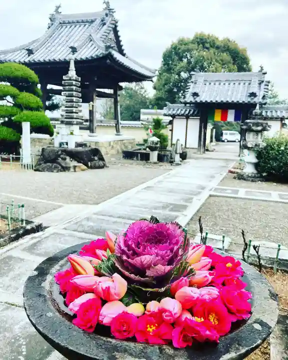 真言宗 善通寺派 薬王寺(香川県)