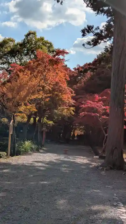 大原野神社(京都府)