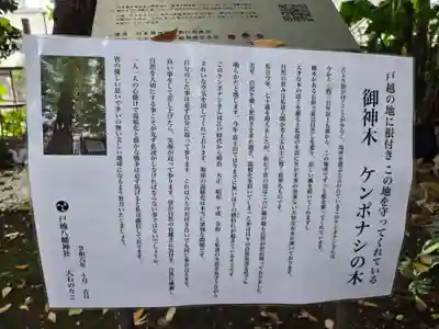 戸越八幡神社(東京都)