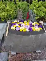 駒込妙義神社の{uncategorized: "未分類", other: "その他", undefined: "問題あり", building: "その他建物", grave: "お墓", sacred_gate: "鳥居", guardian: "狛犬", statue: "像", buddha: "仏像", history: "歴史", nature: "自然", garden: "庭園", animal: "動物", pagoda: "塔", temizu: "手水舎", mountain_gate: "山門・神門", sanctuary: "本殿・本堂", subordinate: "末社・摂社", art: "芸術", scenery: "景色", jizo: "地蔵", ema: "絵馬", goshuin: "御朱印", omikuji: "おみくじ", items: "授与品その他", amulet: "お守り", goshuincho: "御朱印帳", eats: "食事", festival: "お祭り", votive_dance: "神楽", shichigosan: "七五三参", wedding: "結婚式", experience: "体験その他", initially: "初詣", around: "周辺", anti_infection: "感染症対策"}