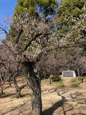 谷保天満宮(東京都)