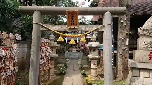 高円寺氷川神社の鳥居