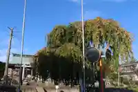 熊野福藏神社の自然