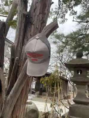 彌彦神社 (伊夜日子神社)(北海道)
