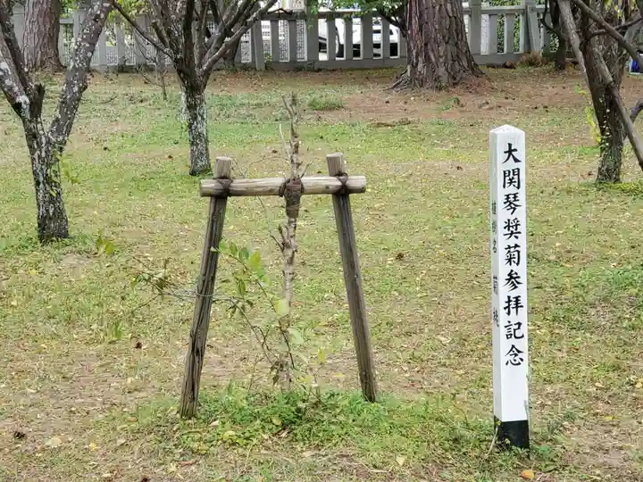 御厨神社の自然