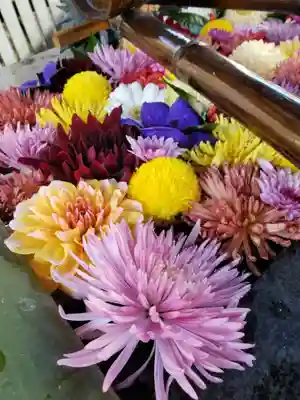 熊野神社の手水舎