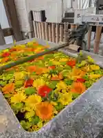 高円寺氷川神社(東京都)