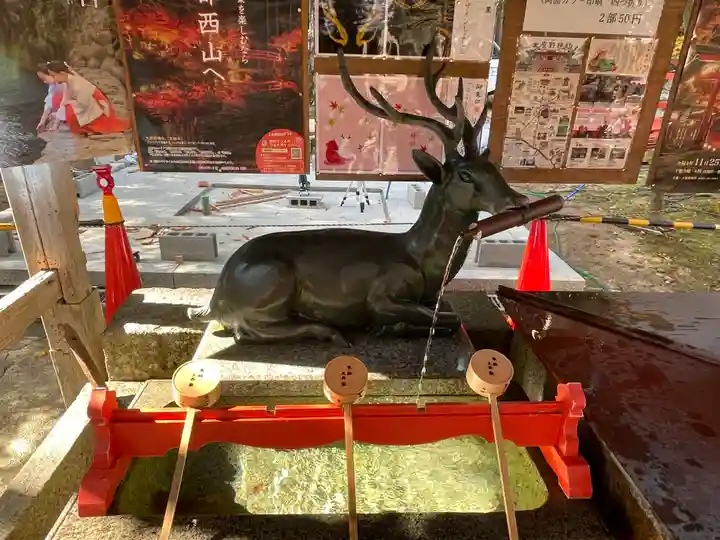 大原野神社の手水舎